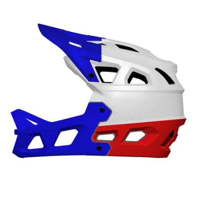 Verstellbarer Outdoor Protective Sports Adult Custom Downhill MTB Fahrradhelm Sicherheit Integralhelm für Enduro All-Mountain Trail