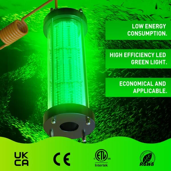 3000W Underwater Green Fishing Light High Power Fishing Light for Ships Double Waterproof