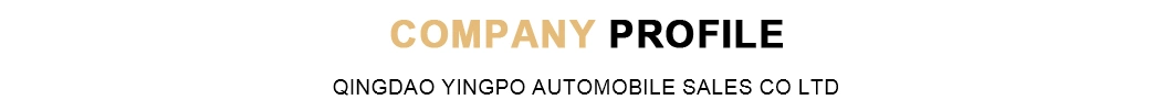 2023 New Almaz RS Right-Hand Drive SUV OEM