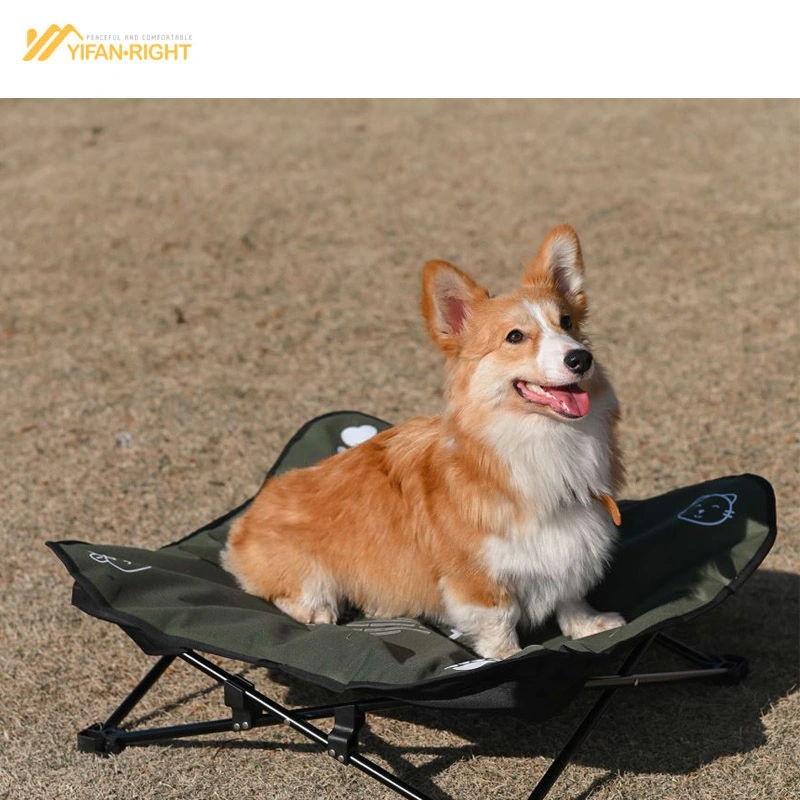 Collapsible Camping Pet Bed with Washable Mat for Both Dog and Cat