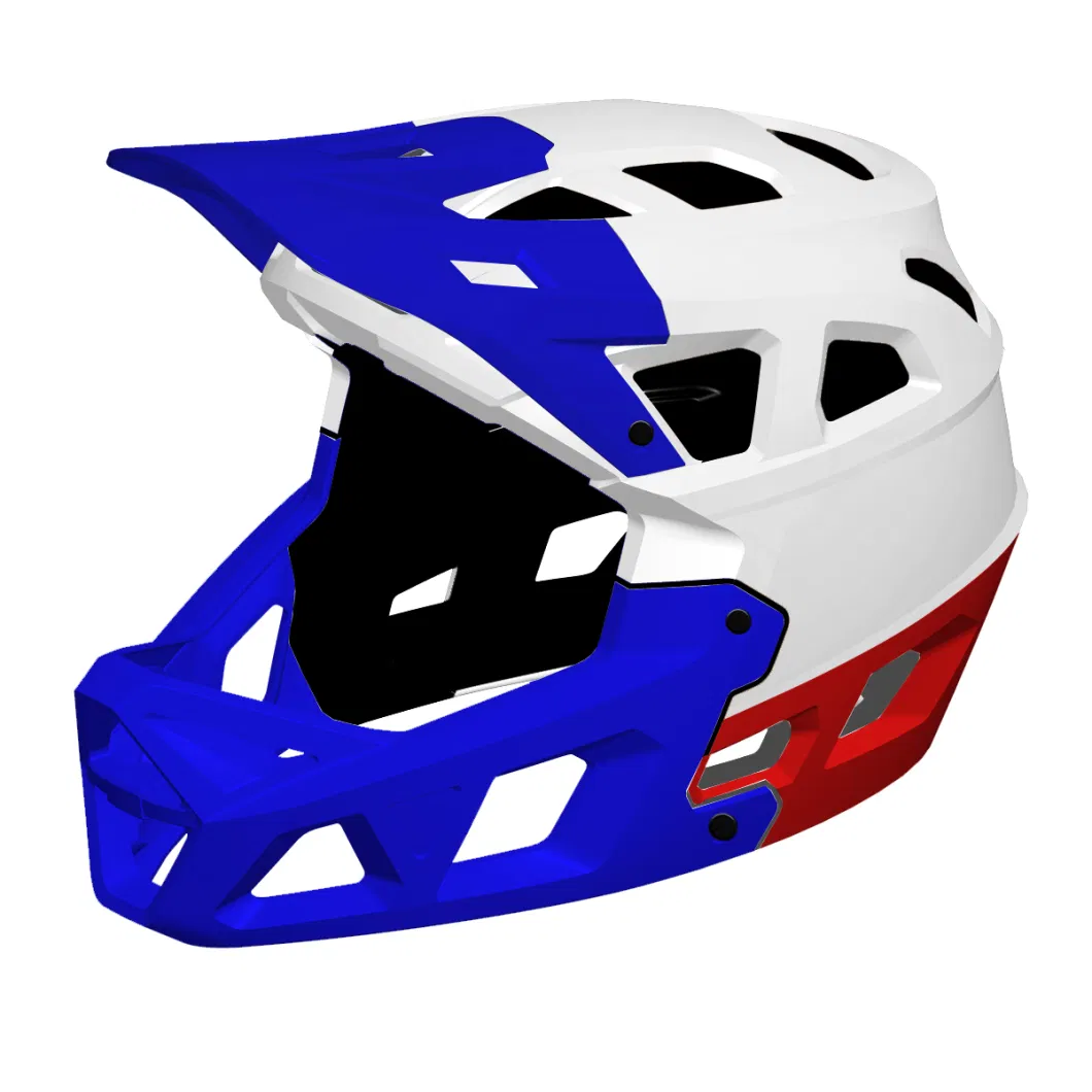 Adjustable Outdoor Protective Sports Adult Custom Downhill MTB Bike Helmet Safety Full Face Helmet for Enduro All-Mountain Trail
