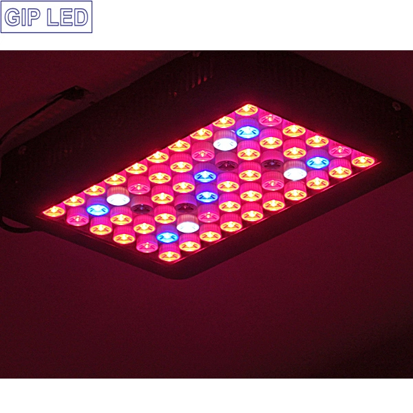 Greenhouse/Plant Farm/Vegetable Tent 300W LED Grow Light