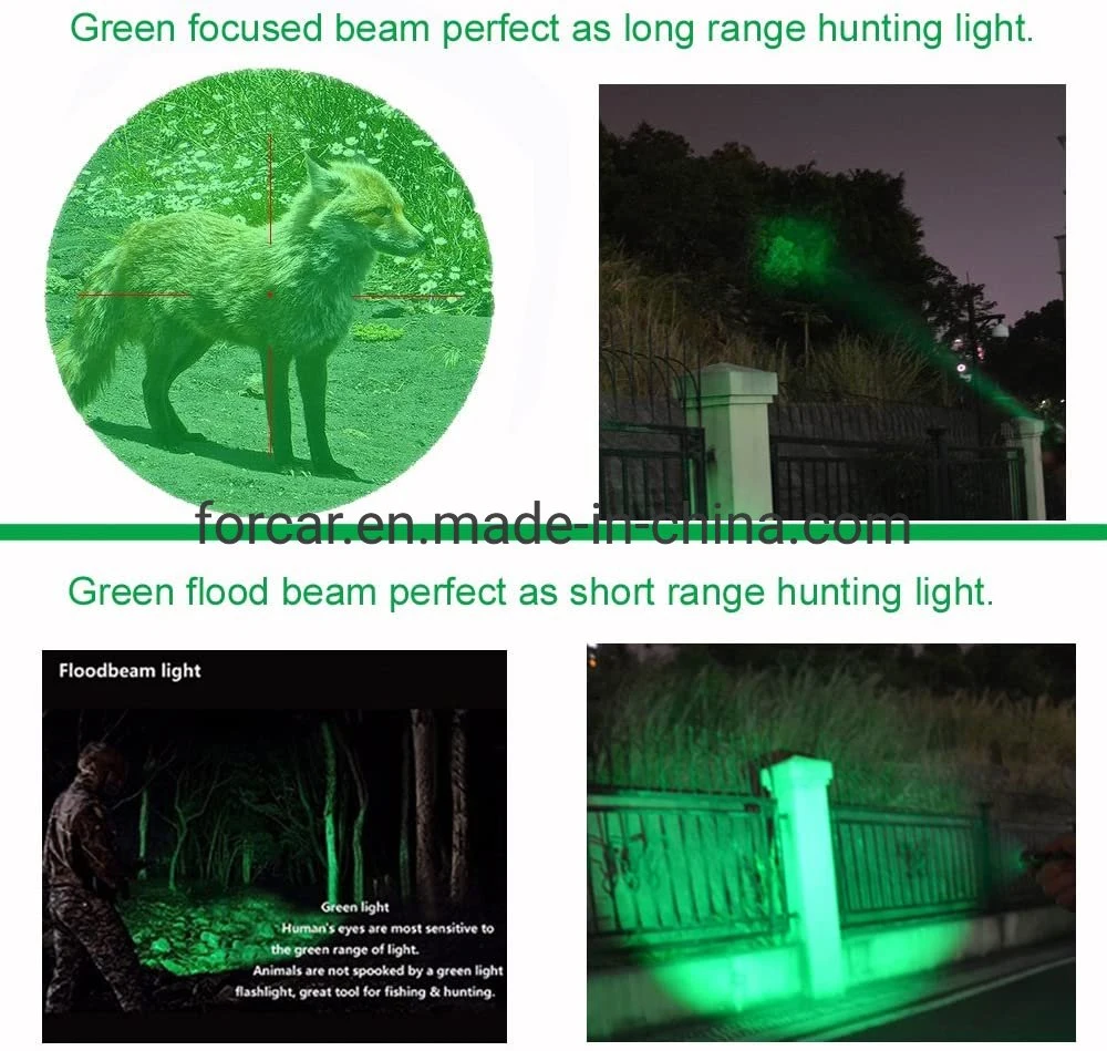 Green Flashlight Light Detector with Zoom LED for Fishing and Hunting