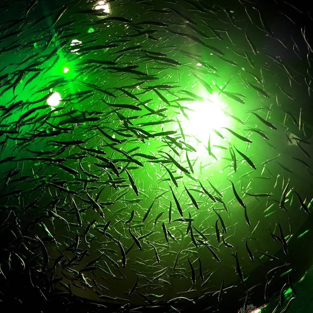 Underwater Fish Finder Lamp Night Fishing LED Submersible Lure Bait Fishing Light