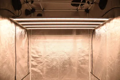 1000W Veg/conmutadores de la floración de la COB de espectro completo de luces LED crecer