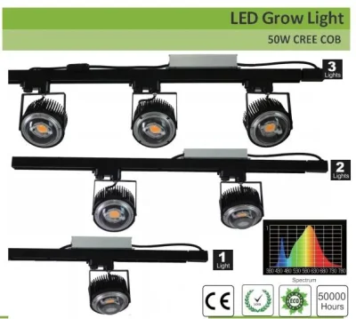 La fábrica de 50W 100W Crees COB Cxb3590 LED Luz crecer 3000K de amplio espectro de luz LED de plantas de invernadero crecer