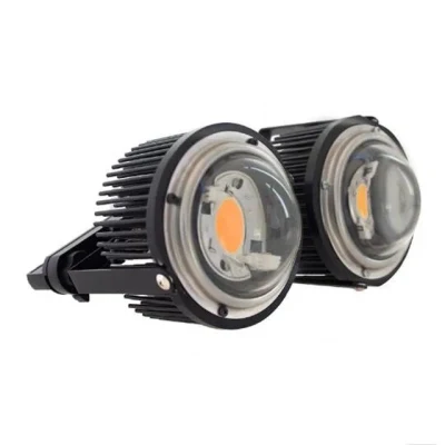 La fábrica de 50W 100W Crees COB Cxb3590 LED Luz crecer 3000K de amplio espectro de luz LED de plantas de invernadero crecer
