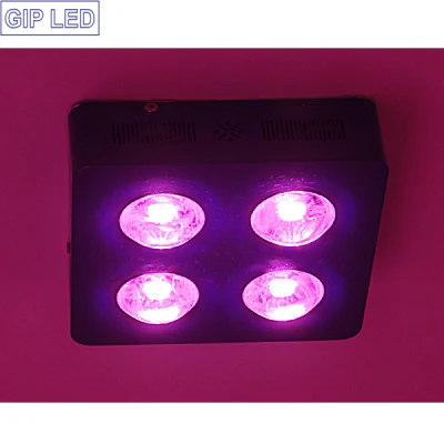 COB Full Spectrum 504W de luz LED crecer