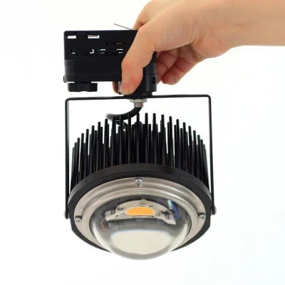 La fábrica de 50W 100W Crees COB Cxb3590 LED Luz crecer 3000K de amplio espectro de luz LED de plantas de invernadero crecer