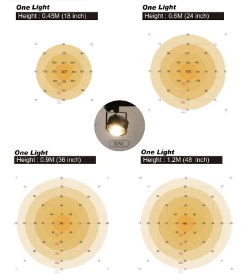 La fábrica de 50W 100W Crees COB Cxb3590 LED Luz crecer 3000K de amplio espectro de luz LED de plantas de invernadero crecer