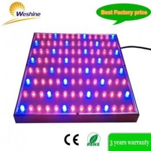 Super potencia 45W Chloroba LED2 crecen con la luz de espectro completo