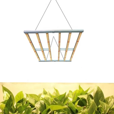 1000W Veg/conmutadores de la floración de la COB de espectro completo de luces LED crecer