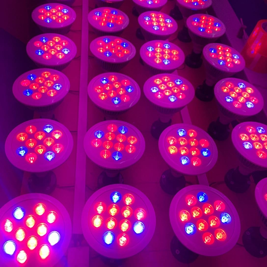 AC85-265V 12W E27 LED Grow Light for Greenhouse