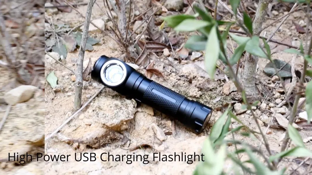 Glodmore2 Custom Made High Bright Long Range Aluminum USB Rechargeable 10W Xml2 LED Headlamp Flashlight with Magnet