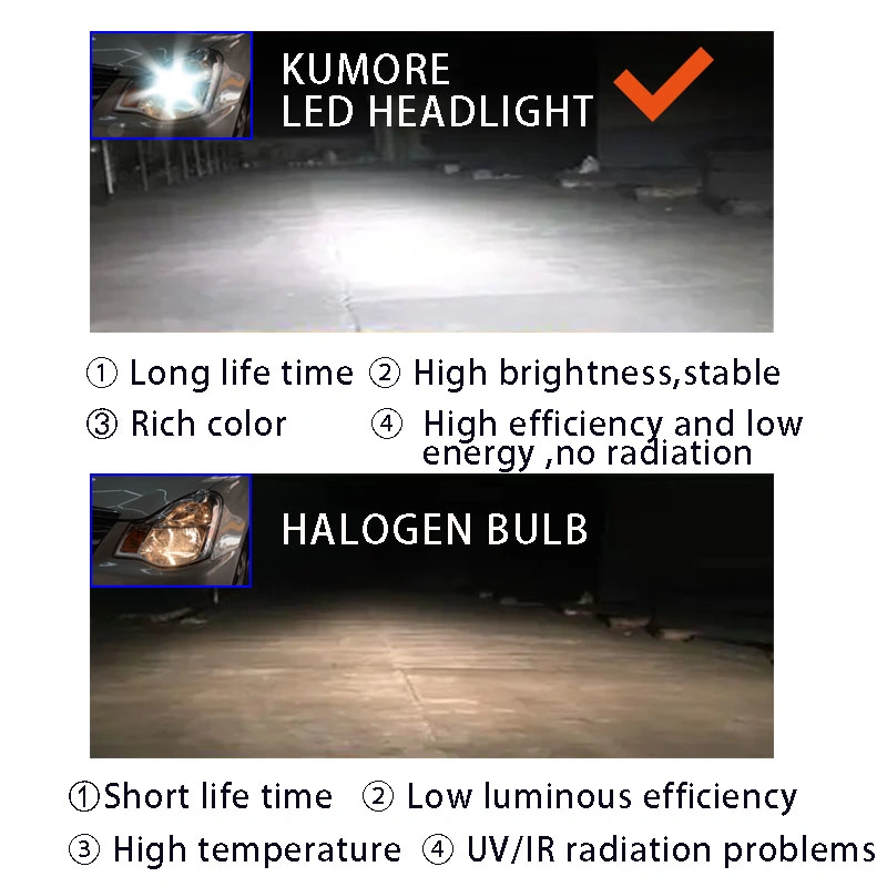 Tail Light H1 H7 H11 Car Headlight Bulbs IP68 Waterproof High Power 110W 10000lm H4 LED Headlight Bulkbuy