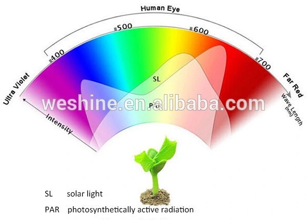 AC85-265V 12W E27 LED Grow Light for Greenhouse