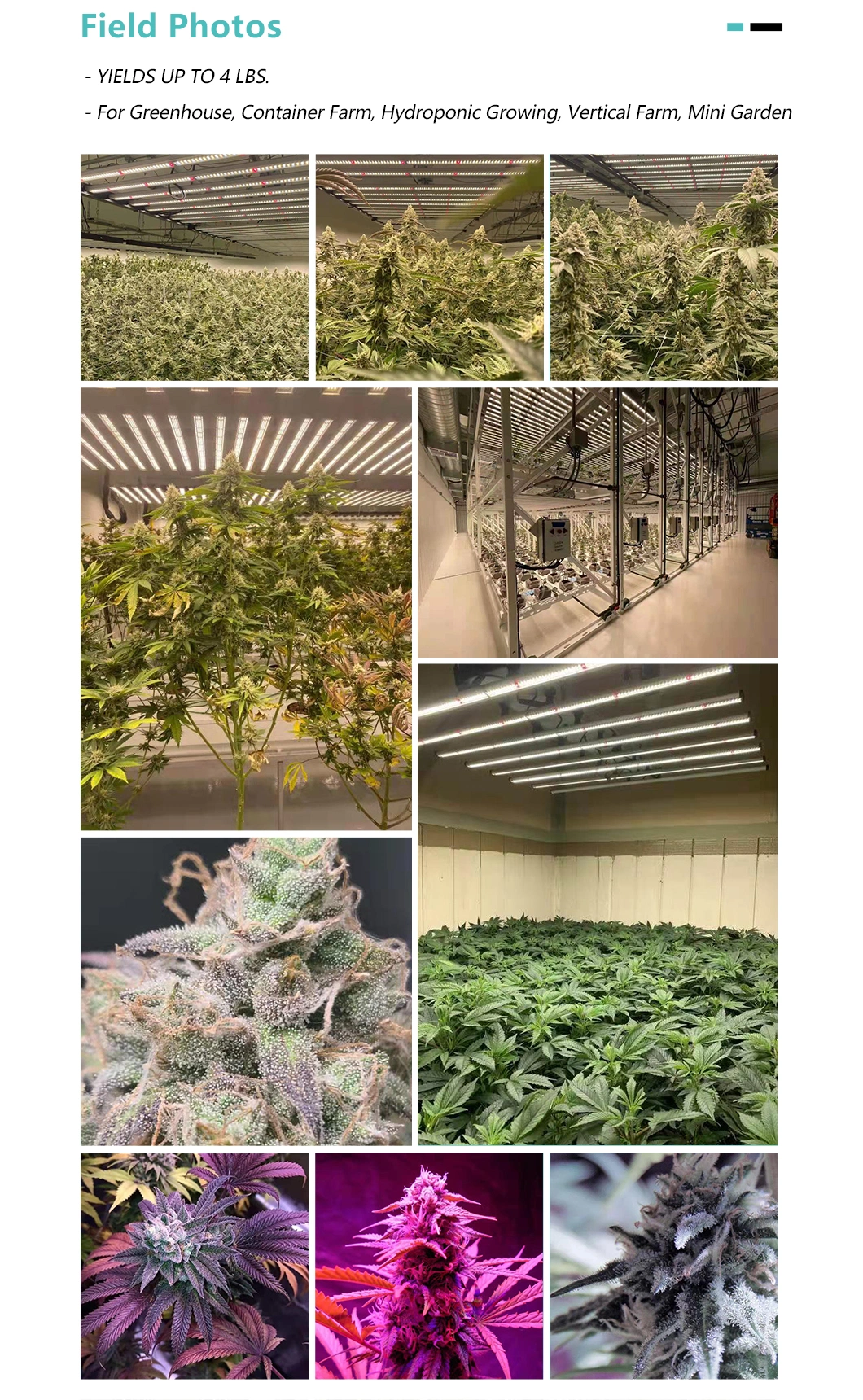 Saturn 800W Flex Smart Control Dimmable Best in Field LED Grow Light Dlc Approved Full Spectrum Efficacy up to 2.8 Umol/J for Grenhouse/Grow Tent