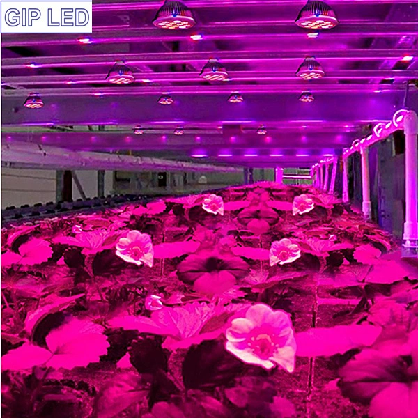 24W E27 LED Grow Light for Plant Fruits Vegetables