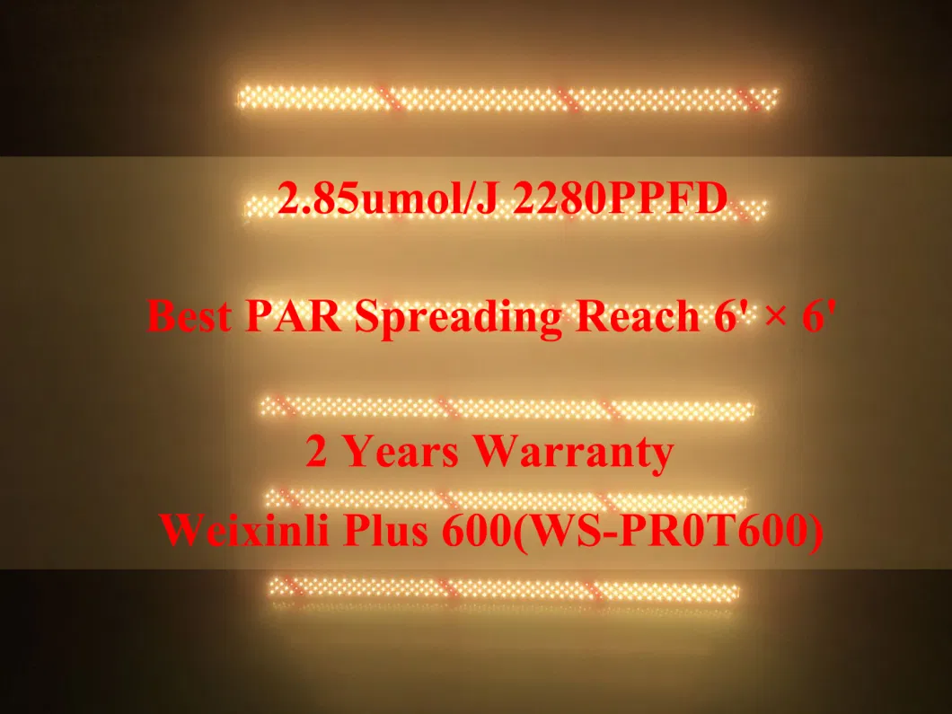 1000W Veg/Flowering Switches Full Spectrum COB LED Grow Lights