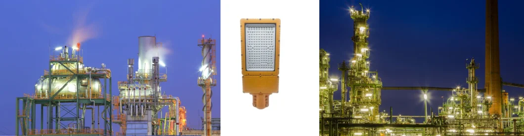 Factory Price Atex Certified 30W Power Plantspetrochemical Processing Facility Metallurgical Zone 1 Zone 2 LNG Gas Station Oil Industry Explosion Proof Light