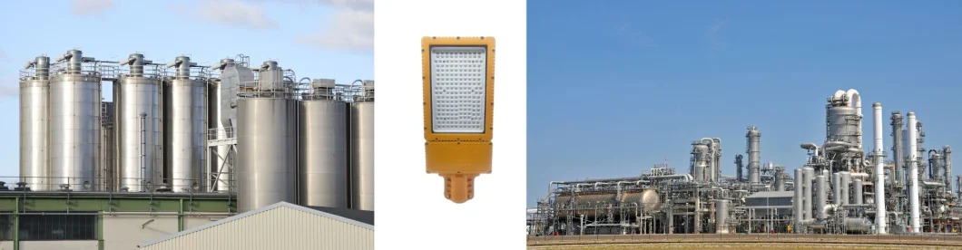 Factory Price Atex Certified 30W Power Plantspetrochemical Processing Facility Metallurgical Zone 1 Zone 2 LNG Gas Station Oil Industry Explosion Proof Light