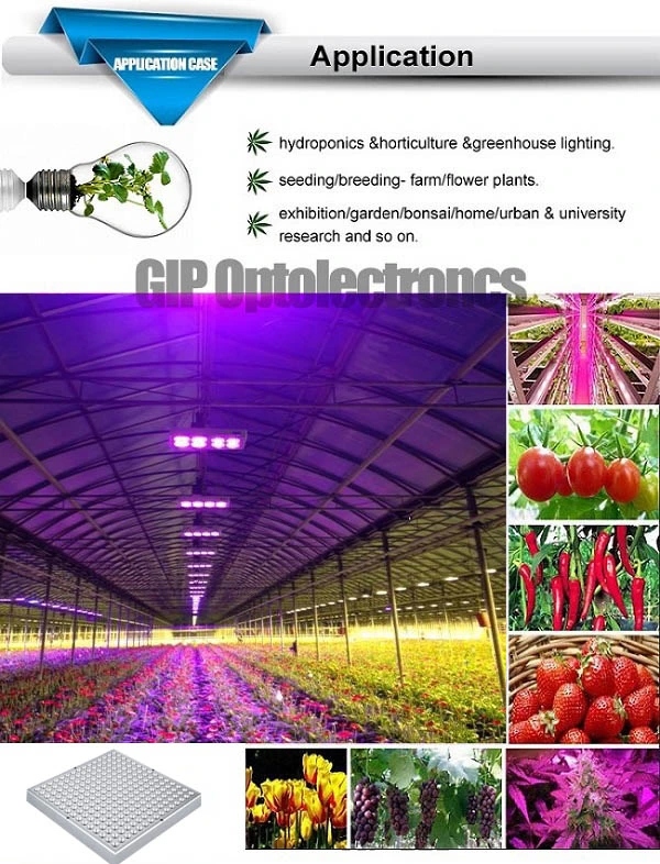 Super Power 45W Chloroba2 LED Grow Light with Full Spectrum