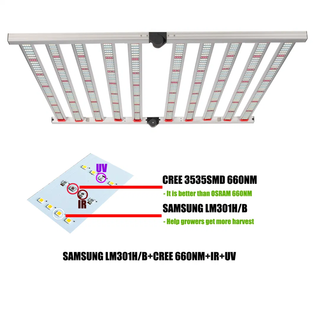 Gip 5W Chips 900W 1000W 12-Band LED Grow Light