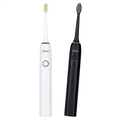 Best Wholesale DuPont Bristle Lithium Battery Power White Adult Electric Toothbrush with 2 Replacement Heads