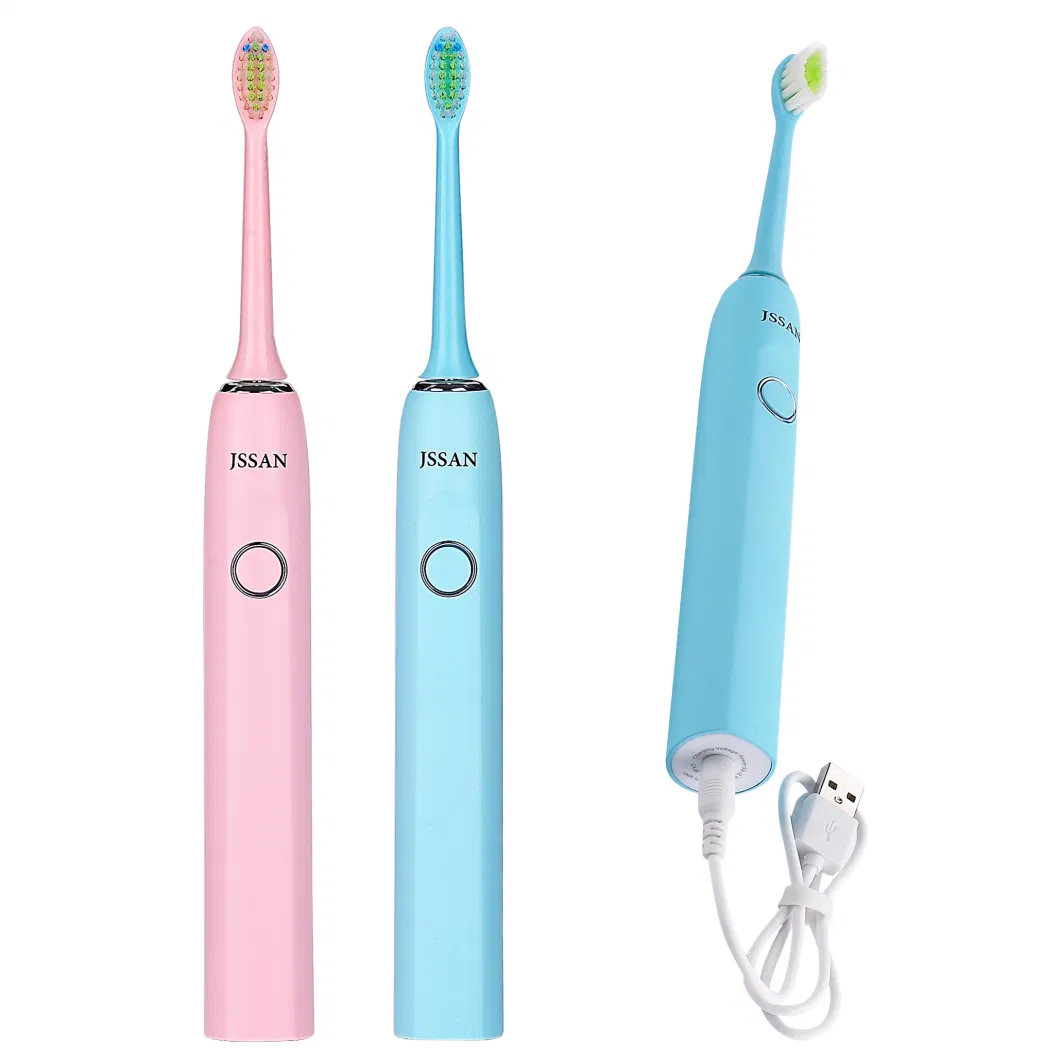 Best Wholesale DuPont Bristle Lithium Battery Power White Adult Electric Toothbrush with 2 Replacement Heads