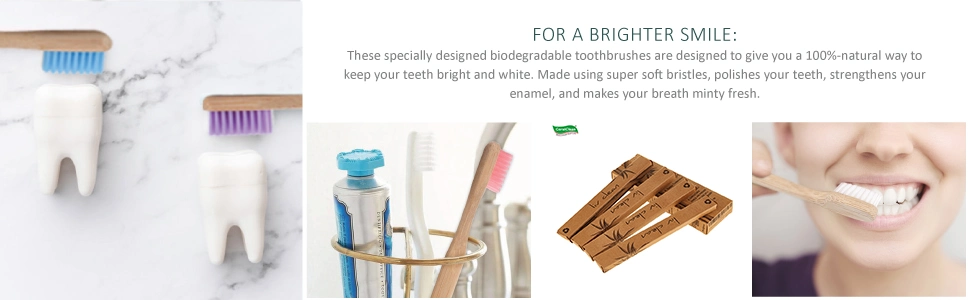 Wholesale Biodegradable Eco-Friendly Bamboo Toothbrush 4 Pack Set for Hotel and Travel