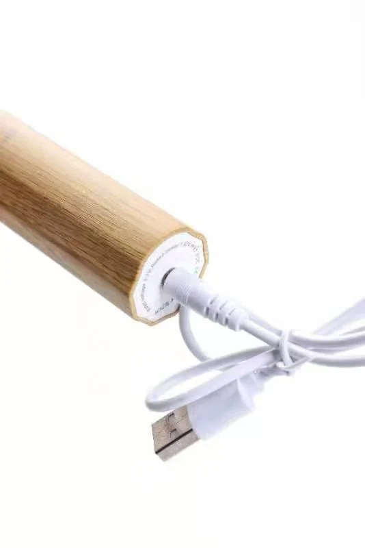 Zero-Plastic 2020 New Design Bamboo Electric Toothbrush