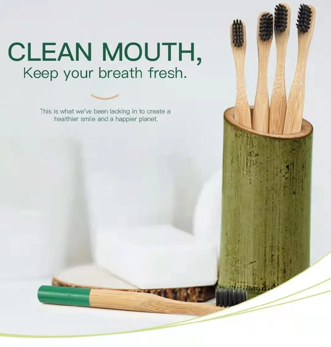 100% Natural Handle Eco-Friendly Bamboo Toothbrush with Nylon Bristle