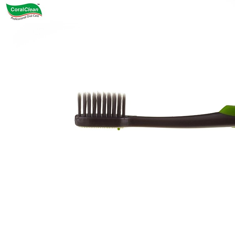 Professional Oral Care Charcoal Adult Toothbrush 2 Pack