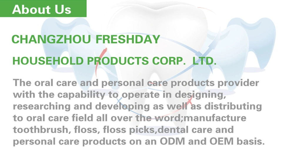 Wholesale High Quality Polybag Material PS Handle OEM/ODM Toothpick Flosser Pick Dental Floss