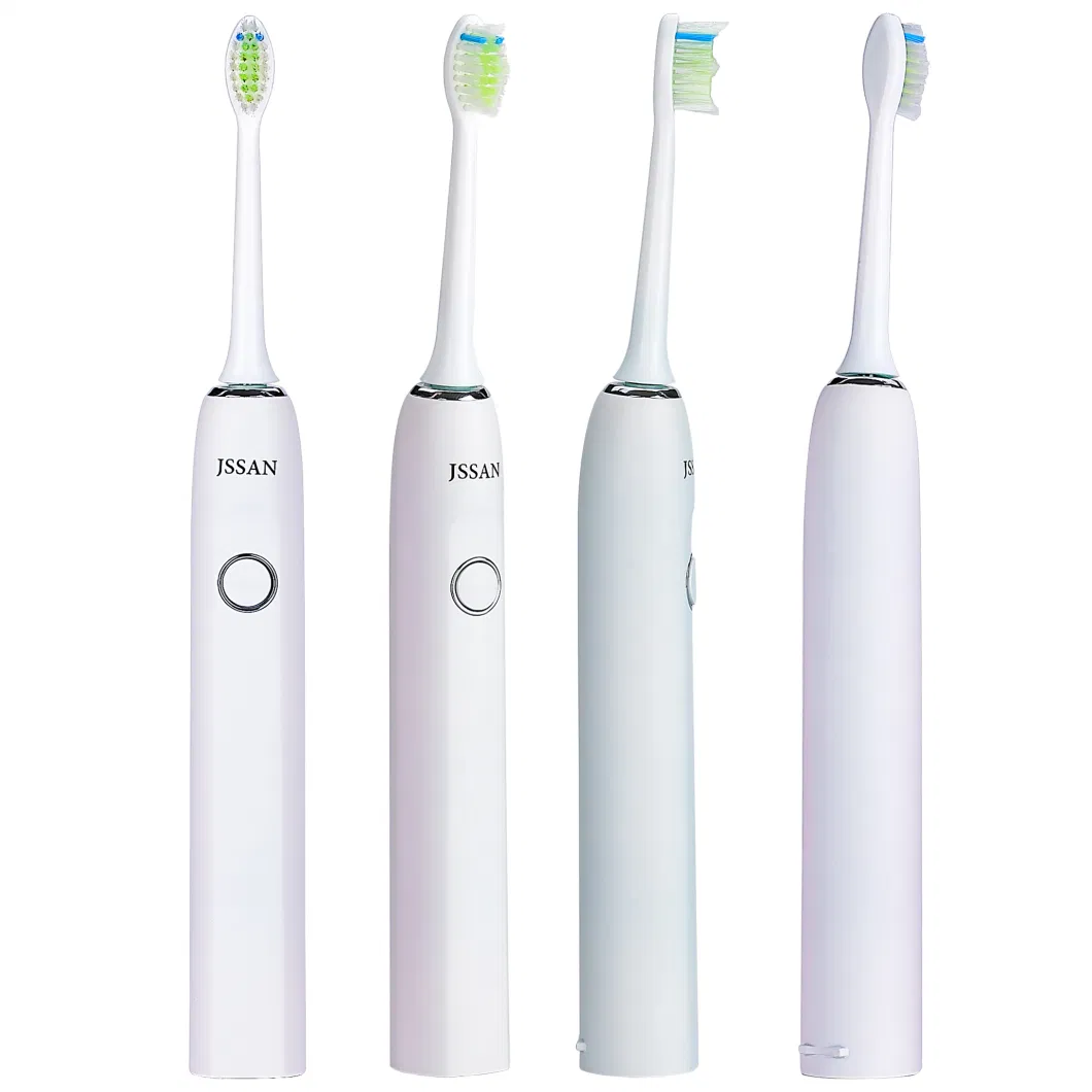 Best Wholesale DuPont Bristle Lithium Battery Power White Adult Electric Toothbrush with 2 Replacement Heads