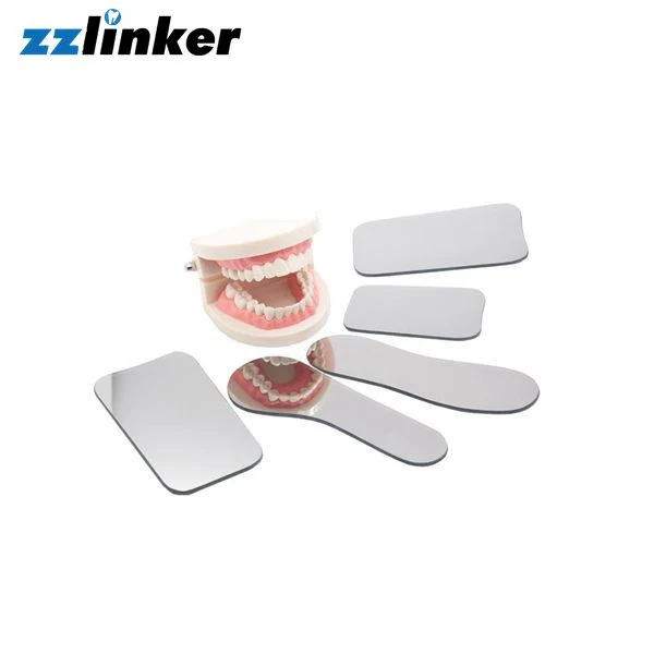 Lk-S31L Oral Clean L Shape Interdental Brushes Toothpick