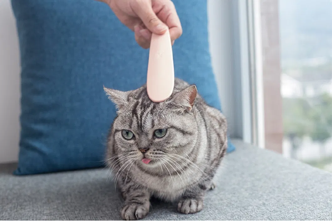 Cat Tongue Comb Massage Shedding Simulated Tongue Brush Wbb18454