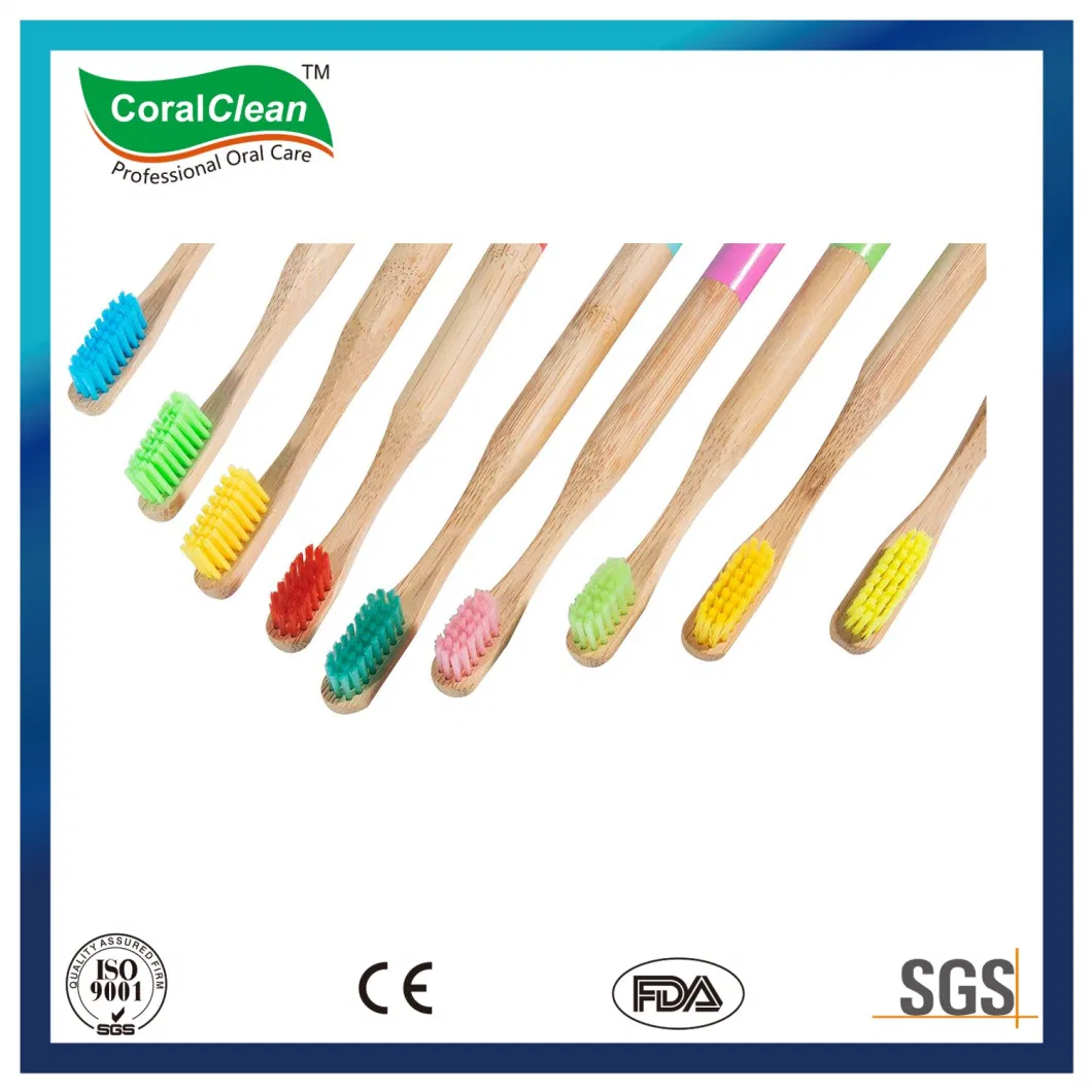 Wholesale Natural Bamboo Toothbrush, Bamboo Charcoal Toothbrush Manufacturer