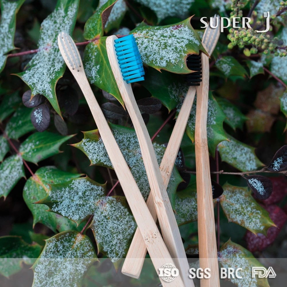 Bamboo Toothbrush BPA Free 100% Biodegradable OEM Manufacturer Private Label Logo Eco Custom Kid&prime;s Charcoal