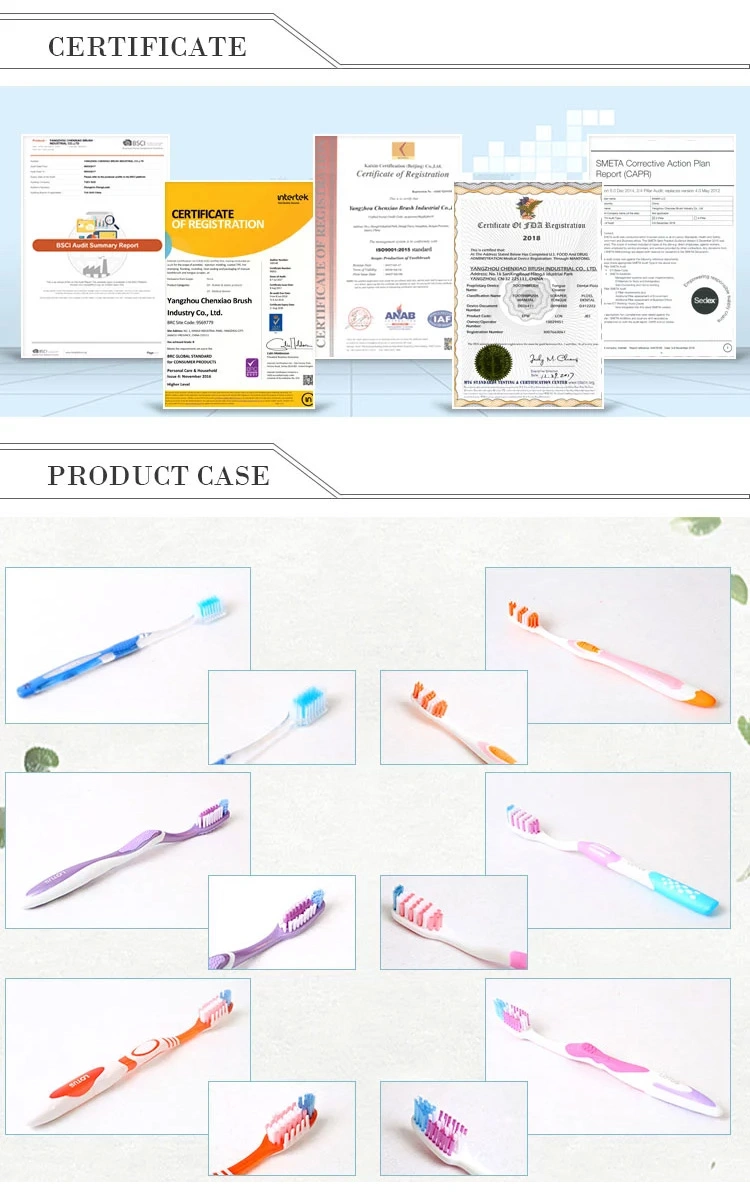 Free Sample OEM Logo Printed Flexible Soft Children/Child Toothbrush