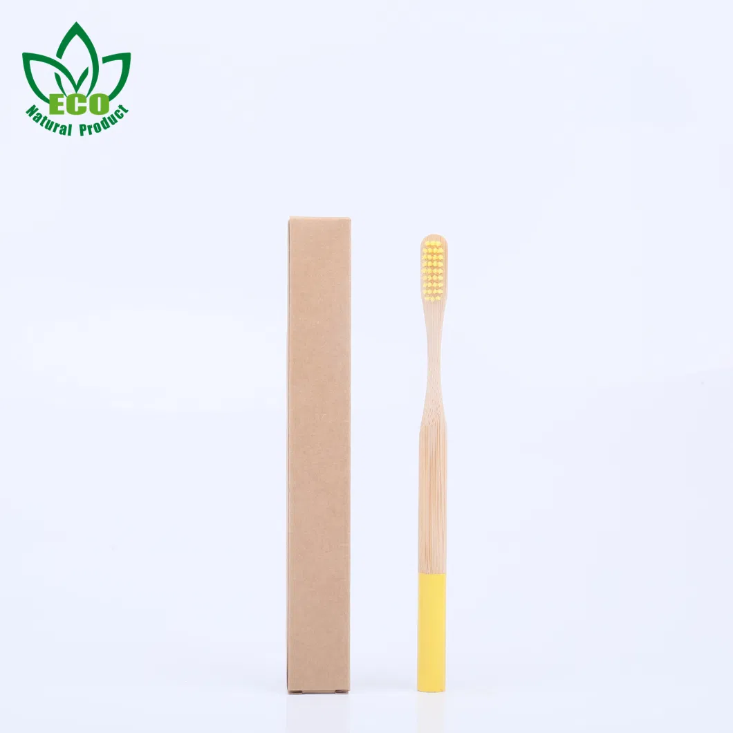 100% Biodegradable Eco-Friendly Natural Bamboo Case Kit Eco Toothbrush Bamboo
