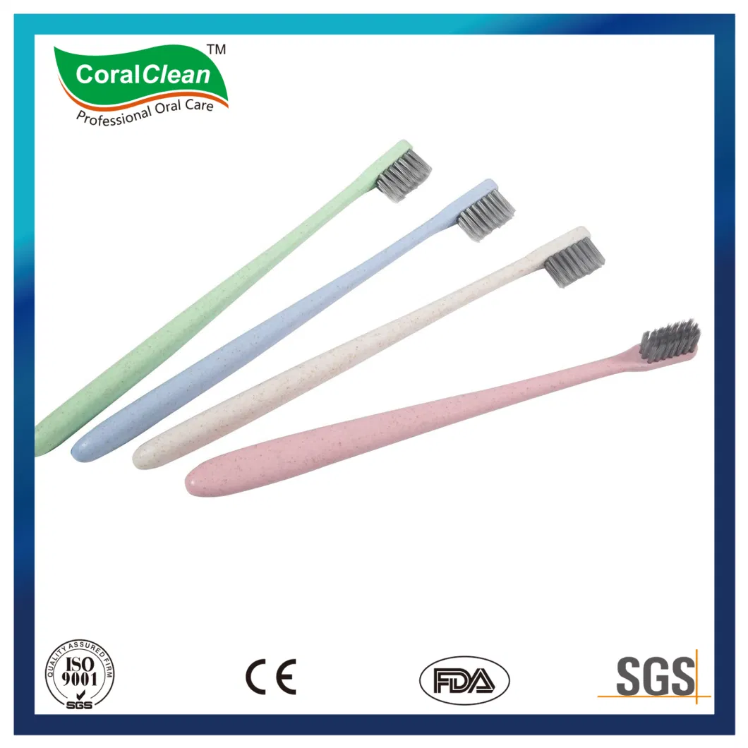 Eco-Friendly Wheat Straw Handle Adult Toothbrush Family Pack