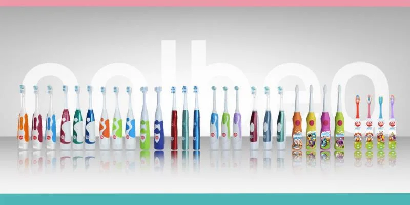 OEM Adult Rechargeable Sonic Electric Toothbrush with Double Brush Heads