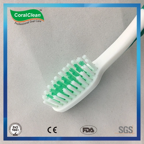 Adulus&prime; Nylon Bristle Toothbrush with Cover