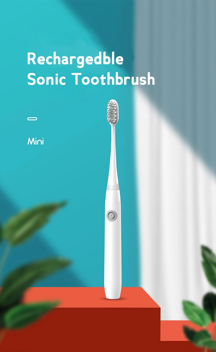 Hot Selling Rechargeable Toothbrush Small Sonic Electric Toothbrush Cheapest