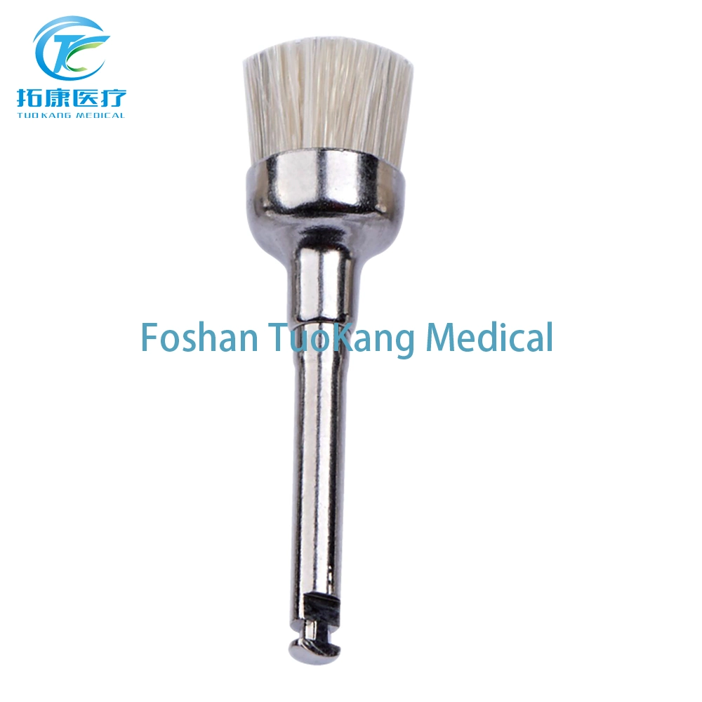 Tooth Brush Preventive Tooth Polishing Brush 100PCS/Package Metal Handle
