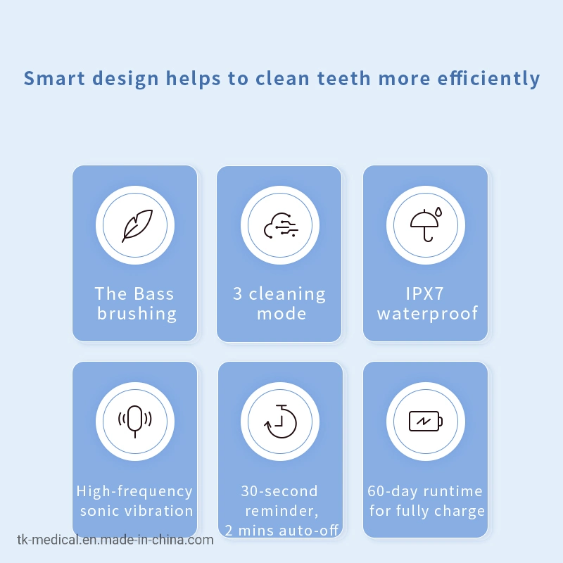 Professional Ipx7 Waterproof Smart Timer Sonic Electric Toothbrush