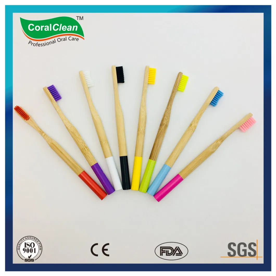 Custom Logo Biodegradable Eco-Friendly Bamboo Toothbrush Manufacturer