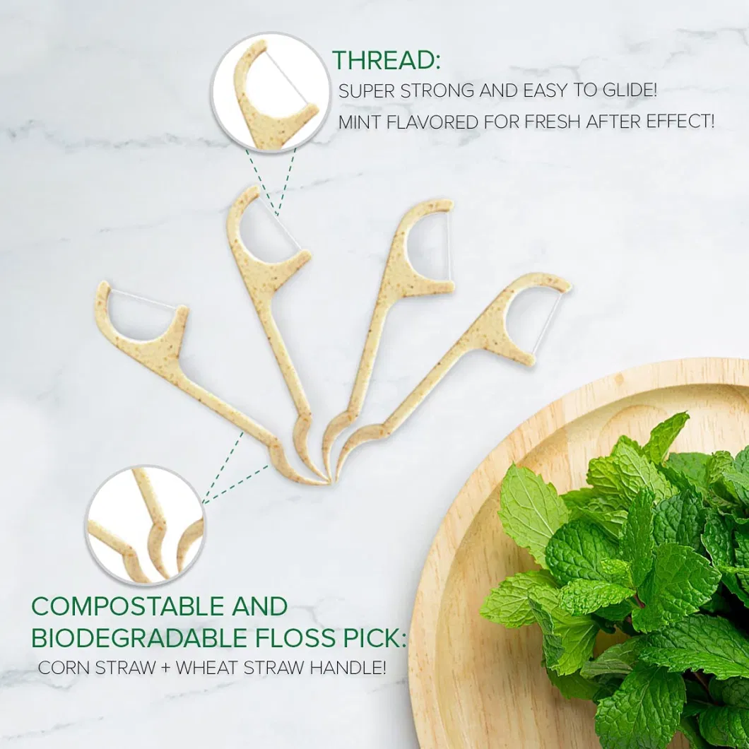 PLA Corn Zero Waste Individually Wrapped Packed Toothpick OEM Wheat Straw Wholesale Logo Eco Biodegradable Pick Dental Floss