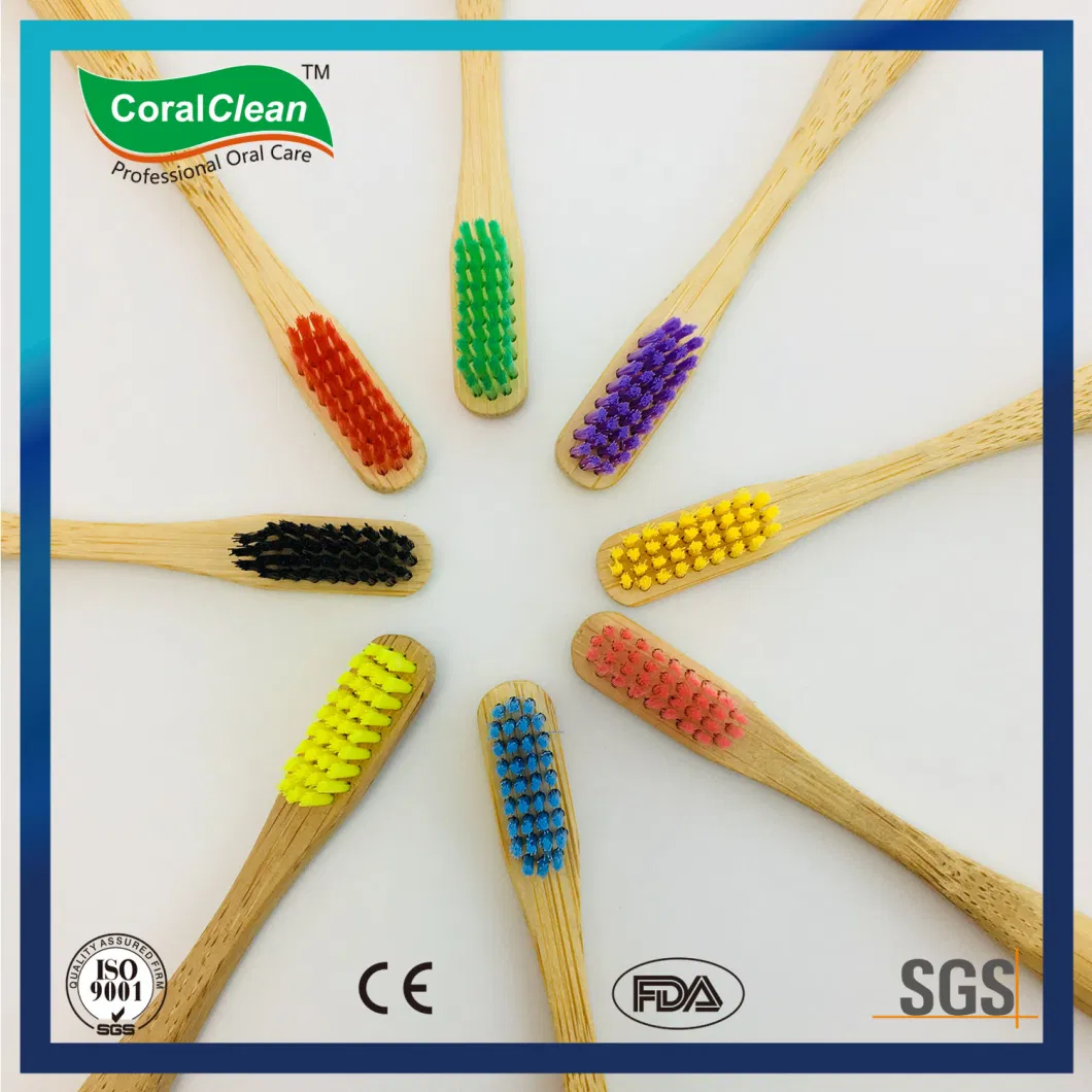 Custom Logo Biodegradable Eco-Friendly Bamboo Toothbrush Manufacturer